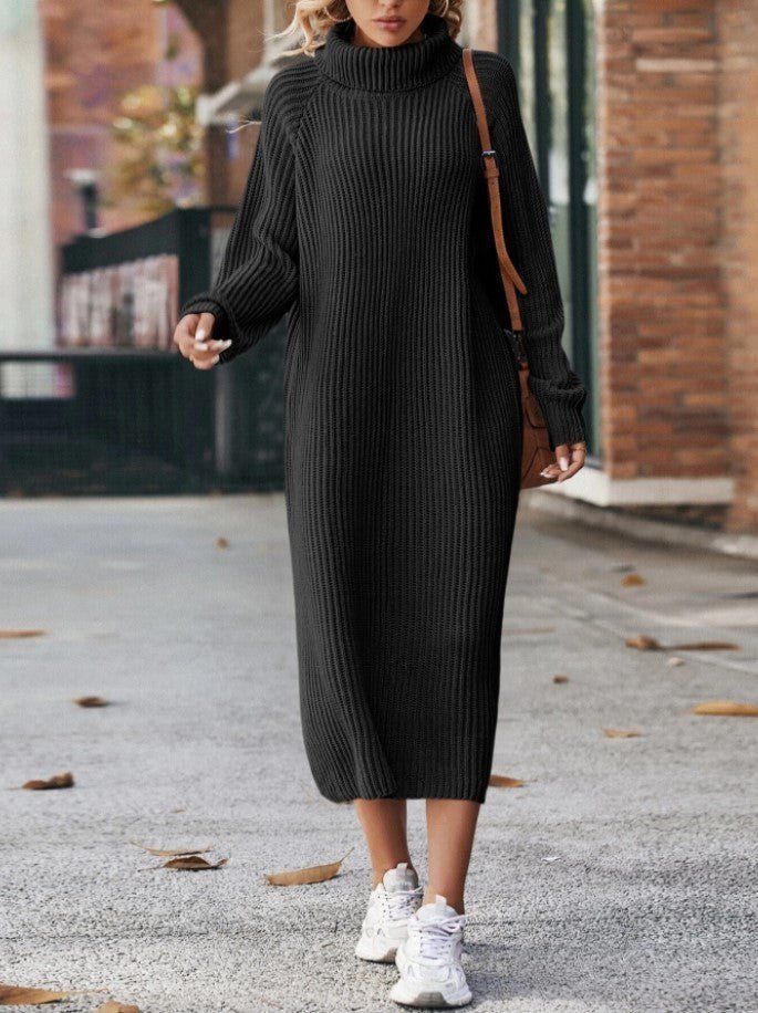 Cozy Turtleneck Sweater Dress - asiilo.com