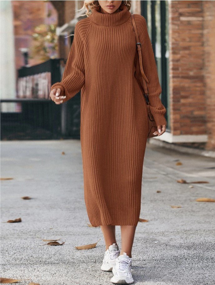 Cozy Turtleneck Sweater Dress - asiilo.com