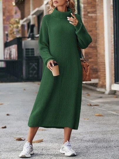 Cozy Turtleneck Sweater Dress - asiilo.com